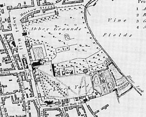 Lenny's map of 1823, showing the Abbey grounds with botanic garden marked 'Y'