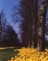 Nowton Park