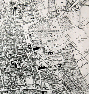 Payne's map of 1834, showing the Abbey grounds with concentric circle beds.