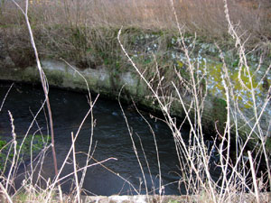 Picture by David Addy in 2008.