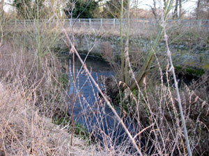 Picture by David Addy in 2008.