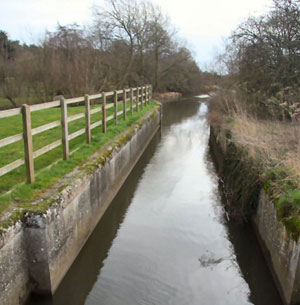Picture by Bob Jones in 2008.