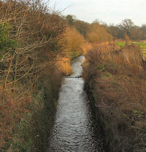 Picture by Bob Jones in 2008.