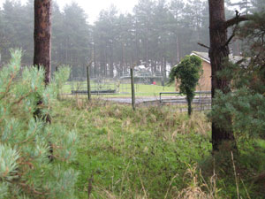 Picture by David Addy in December 2008.