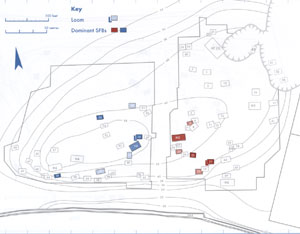 Stanley West's plan of the first two family groups at West Stow.